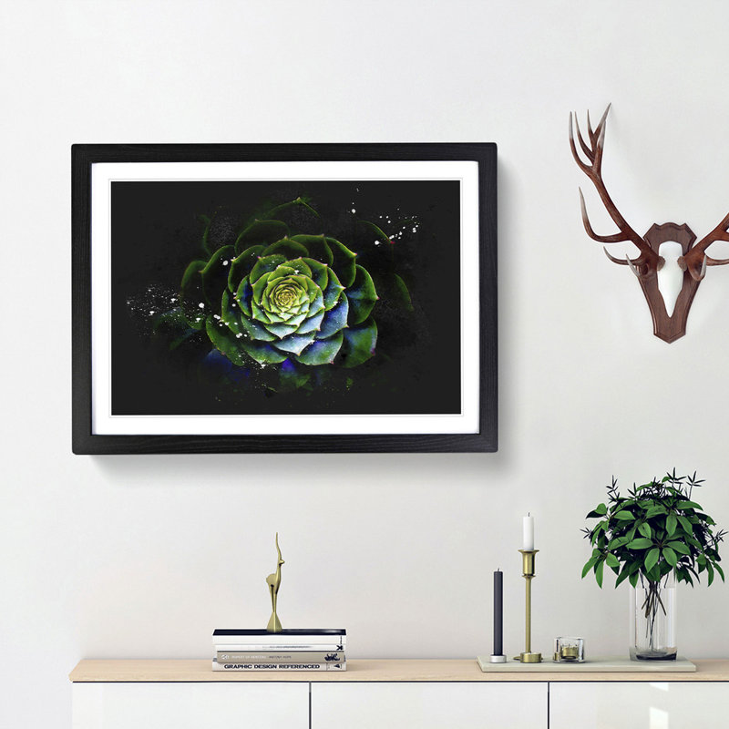 Dark Green Succulent Plant Paint Splash - Picture Frame Graphic Art, Black Framed, 24cm H x 33cm W x 2cm D