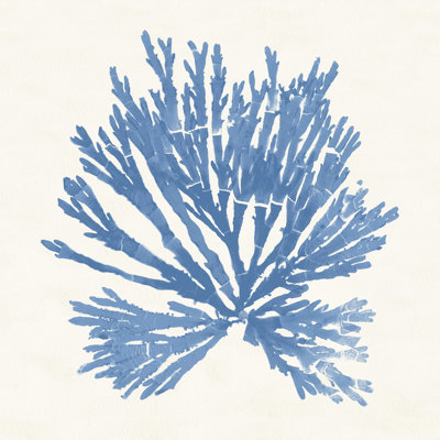 Pacific Sea Mosses II - bleu clair