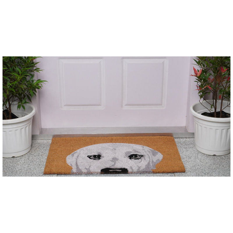 Tapis de porte antidérapant 36 po x 24 po