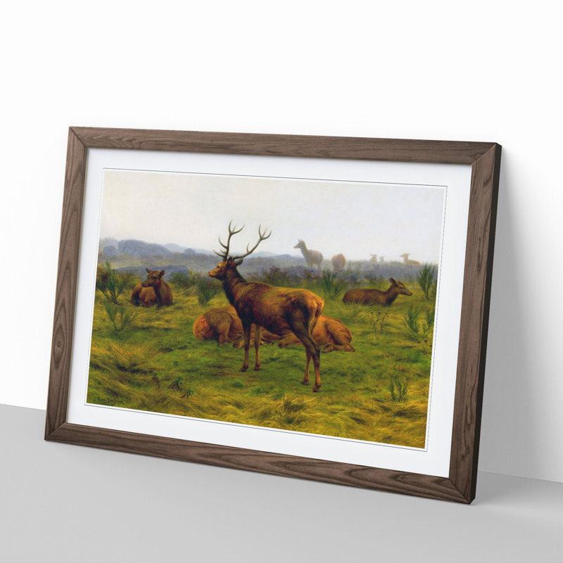 The Stag by Rosa Bonheur - Framed Print, 36cm H x 48cm W x 2cm D, Walnut Framed