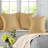 Velvet Pillow Cover-238526373-238526410