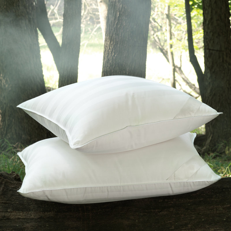 Oreiller en duvet Rhapsody Luxe, Très grand