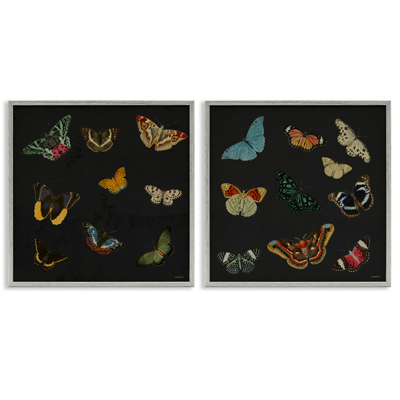 Ensemble de 2 giclées par Entomology Collection on Black, par Dan Meneely, Estampe numérique Farmhouse, H 12 po x l 12 po