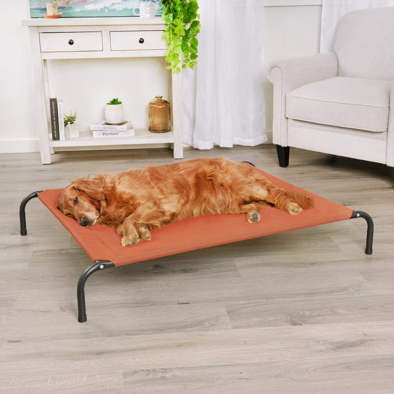 Elevated Cot Pet Bed, Red, 8" H x 36" W x 49.5" D