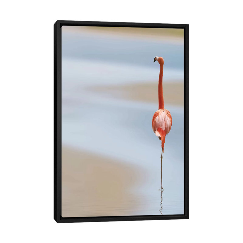 « i », reproduction de photo sur toile tendue encadrée, H 26 po x l 18 po x P 1,5 po, Toile avec cadre noir, Pas de tapis