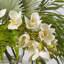 Tropical Paradise - Real Touch Cream Cymbidium Orchid, Fern, Needle Eucalyptus & Fan Palm Everyday Water Illusion Arrangement
