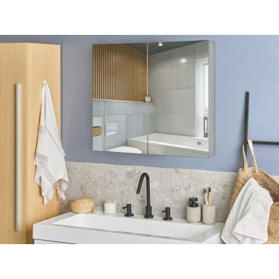 Rodricas Wall Mounted Framed Mirrored Bathroom Cabinets Shelves