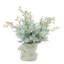 Eucalyptus Arrangement In A Shell Vase.