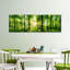 Paysage forestier sur toile-1021207400