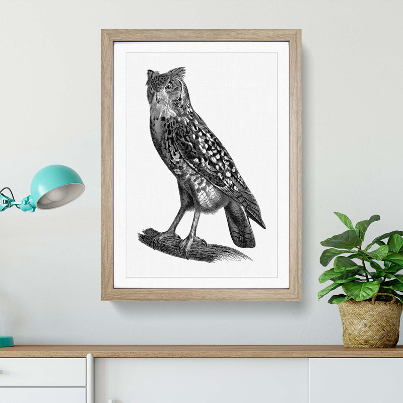 Egyptian Owl Illustration - Picture Frame Drawing Print, 36cm H x 27cm W x 2cm D, Oak Framed