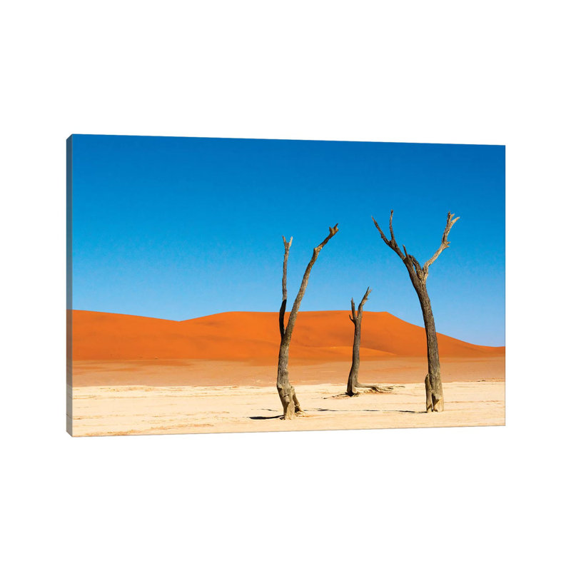 Dead Acacia Trees In Deadvlei, Sossusvlei, Namib-Naukluft Np, Southern Narim Desert, Namibia by Keren Su - Wrapped Canvas Print