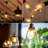 8 Watt (60 Watt Equivalent), Edison A19 LED, Dimmable Light Bulb, E26/Medium (Standard) Base-50510840