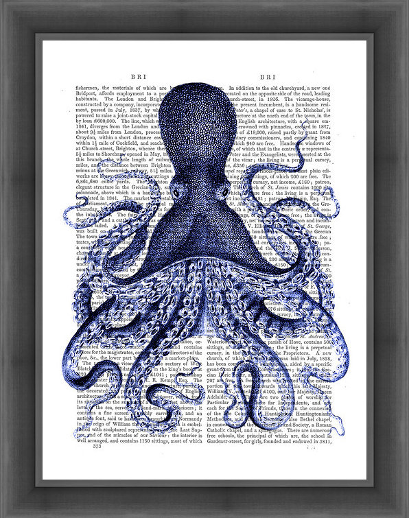 « blue octopus 3 », impression encadrée