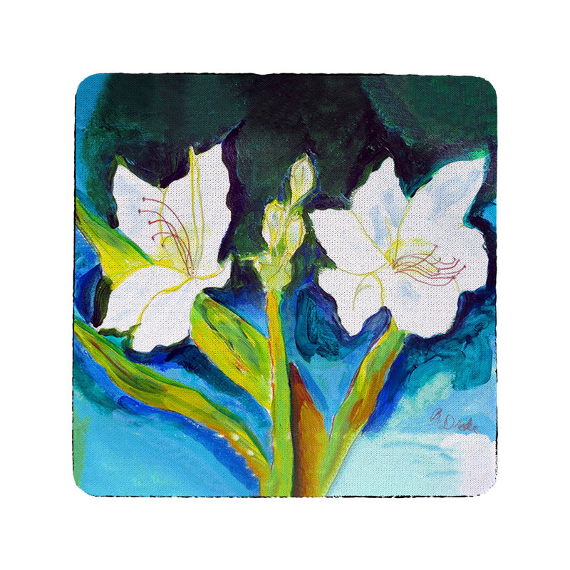 Silicone Square 4 Piece Coaster Set