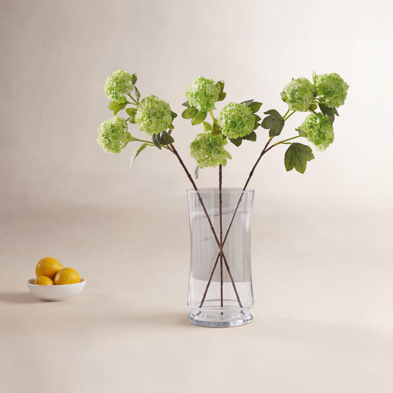Viburnum vaporisateur 33 po , Vert