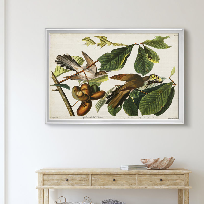 «Pl 2 Yellow Billing Cuckoo» - Cadre photo, impression sur toile, Argent, H 22,5 po x l 30,5 po x P 1,5 po