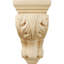 Petit corbeau traditionnel Acanthus-58865024