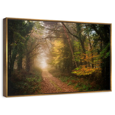 Path In Autumn Forest
