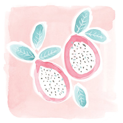 Dragon Fruit - Wrapped Canvas Painting