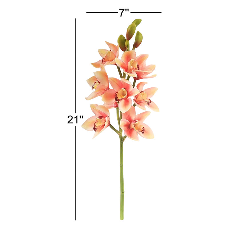 OPEN CYMBIDIUM ORCHID STEM