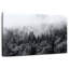 Forêt de pins brumeux Alvord-106308945