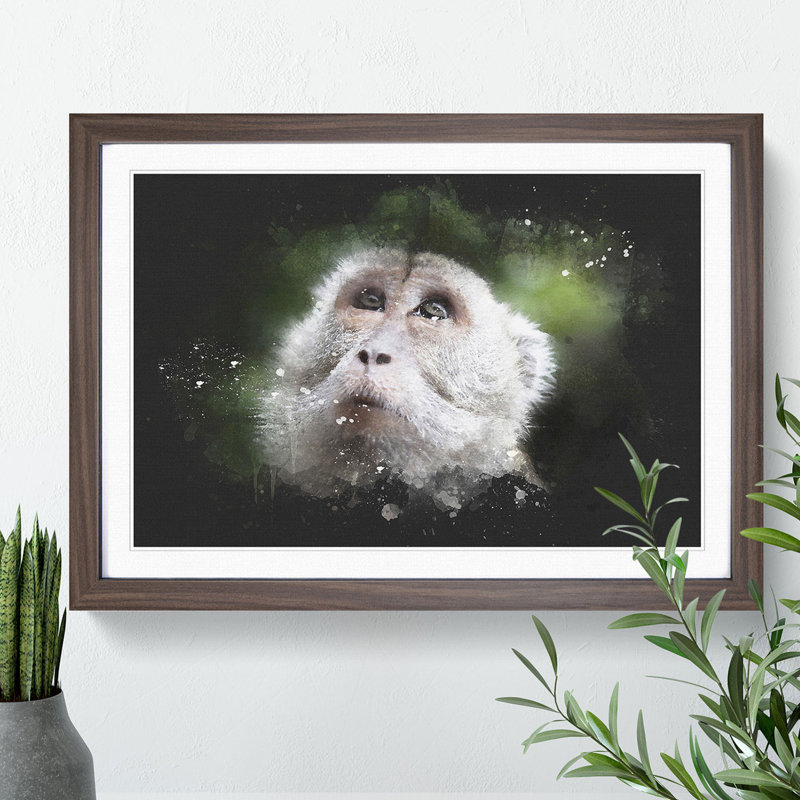 Macaque Monkey - Picture Frame Graphic Art, 27cm H x 36cm W x 2cm D, Oak Framed