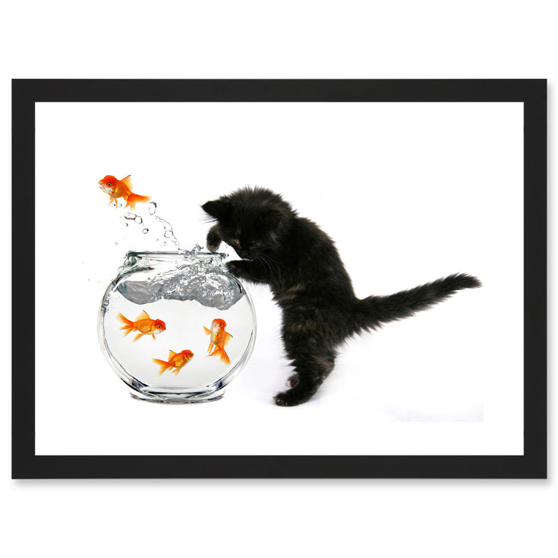 Black Kitten Cat Goldfish Bowl - Single Picture Frame Print