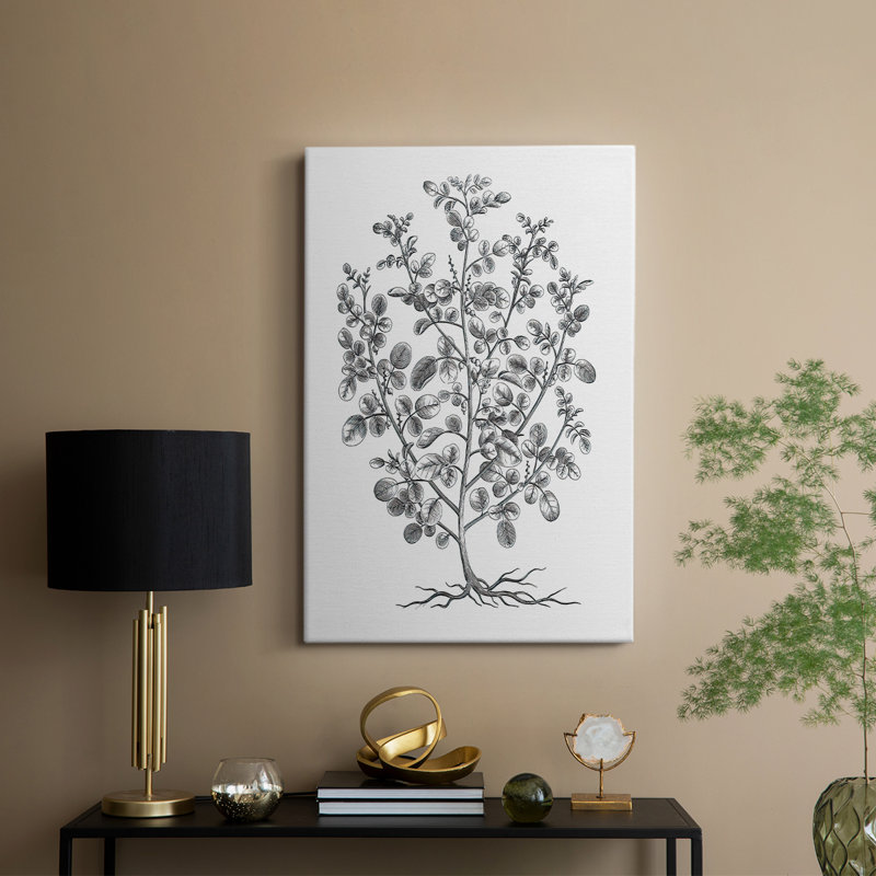 B&W Plant Spechantillon I - galerie sur mesure, H 27 po x l 18 po