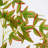 6ft. Autumn Nandina Artificial Fall Tree