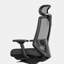 Ergonomic Chair Pro-2140169277-2140169273