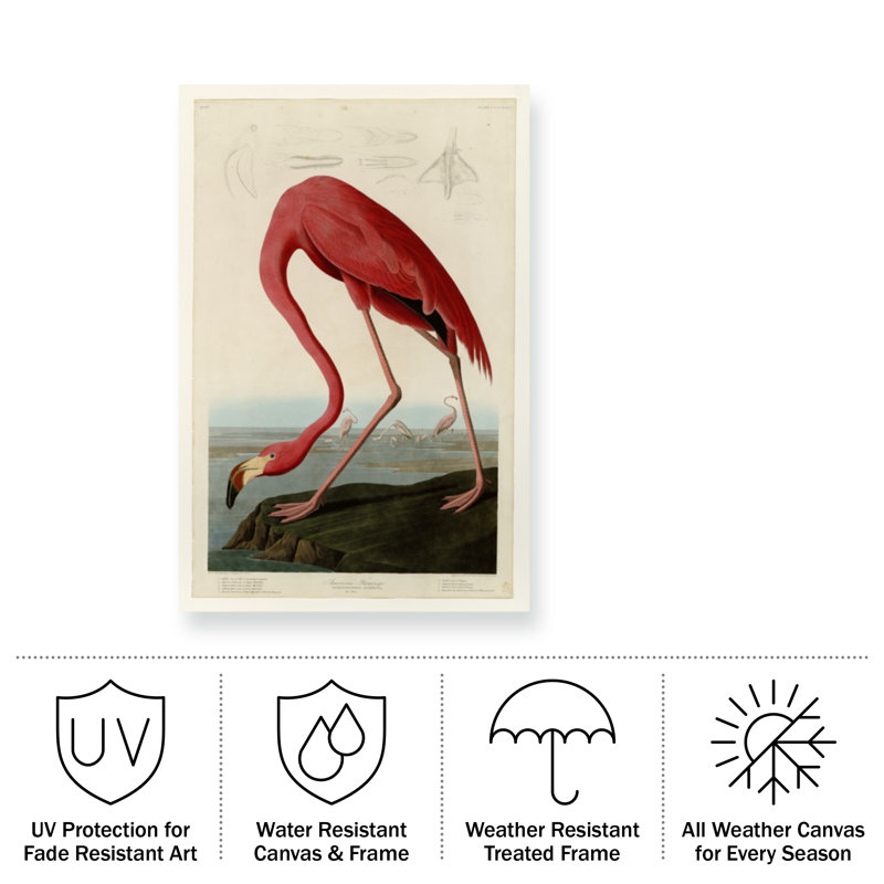 American Flamingo Light Mixed Media Canvas Art 19" x 12"