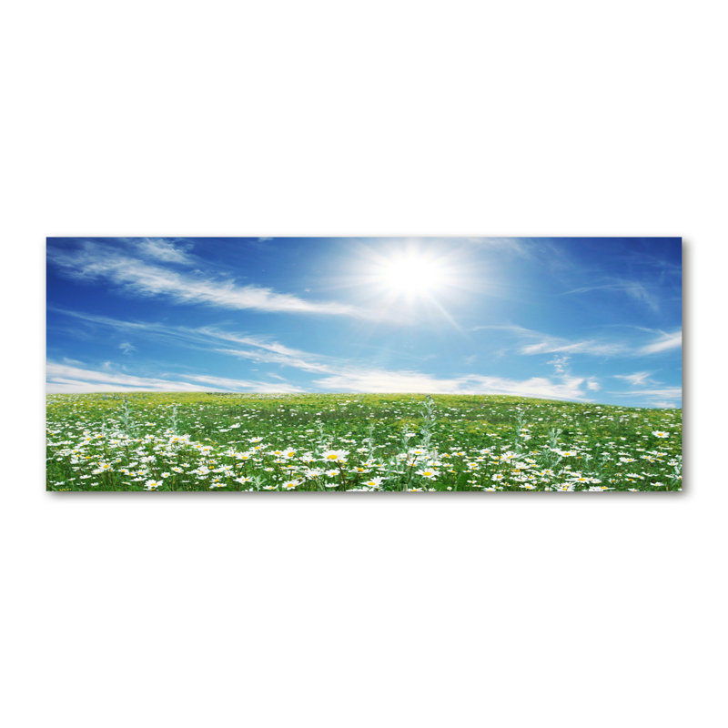 Meadow - Wrapped Canvas Print