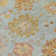 Machine Washable Indoor/Outdoor Efimenko ACN2289 Damask Rug