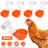 Fon Waterer