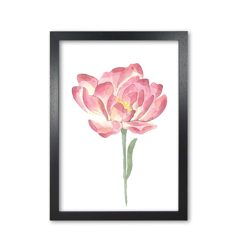 Watercolour Pink Flower - Painting, 30 cm H x 21 cm W x 5 cm D, Black Grain Frame