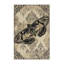 Tapis beige moelleux et moelleux au look rétro vintage Glenmoor Moth-1516556437