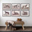 Prized Race Horse Framed Prints