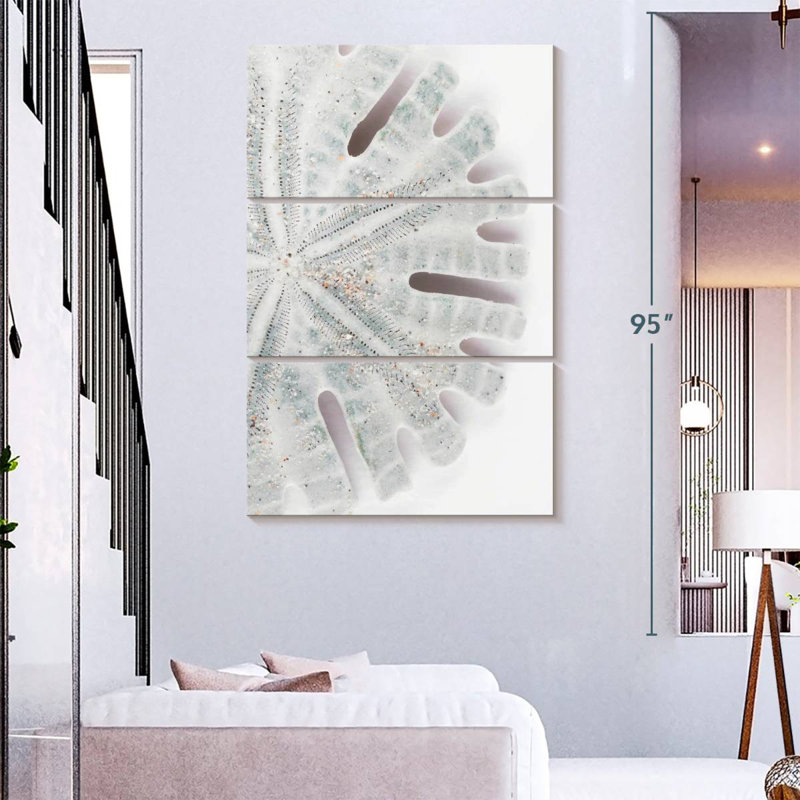 Brampt Florida Sand Dollar I, H 74 po x l 48 po
