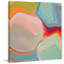« the polar lights » par irena orlov, reproduction d’art sur toile tendue-16031135