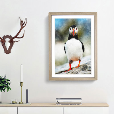Lone Atlantic Puffin - Framed Print