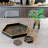 LLB- Hexagon tray - Roxy Leopard