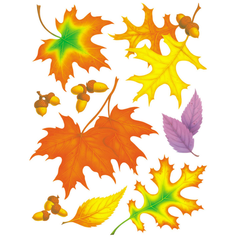 Les feuilles d'automne s'agrippent à la fenêtre