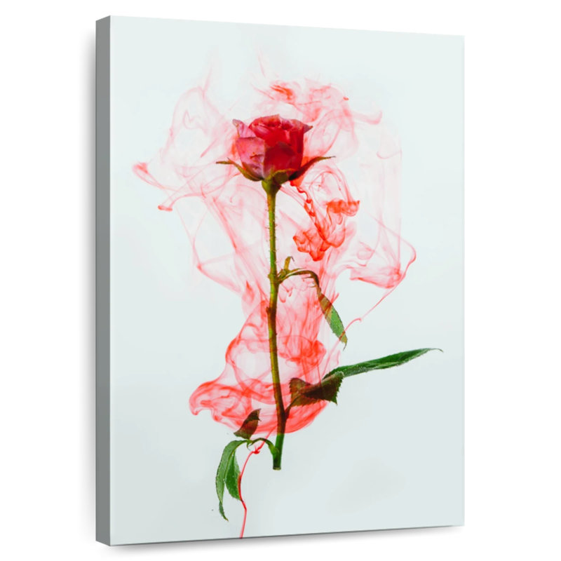 Harnek Rose Underwater, 30" H x 20" W