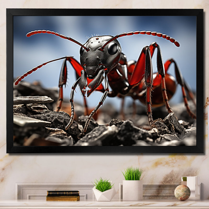 Fourmi travailleuse II - reproduction sur toile, H 24 po x l 32 po x P 1 po, Cadre photo noir