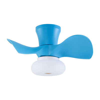 Raghi 22'' Ceiling Fan with LED Lights