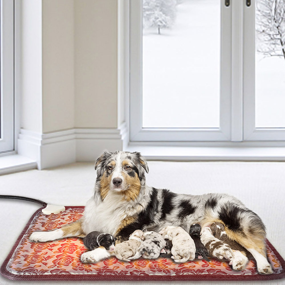 Electric hotsell pet bed