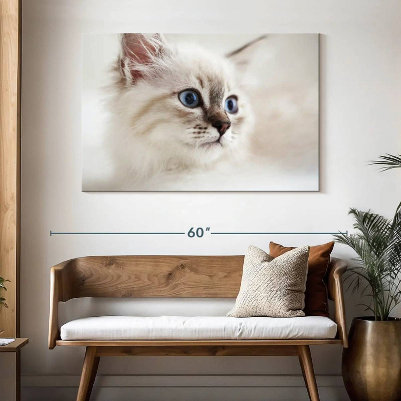 Brampt Neva Masquerade Cat, 32" H x 48" W