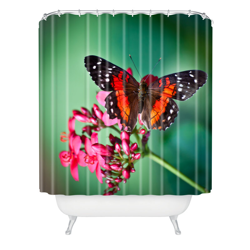 Shower Curtain