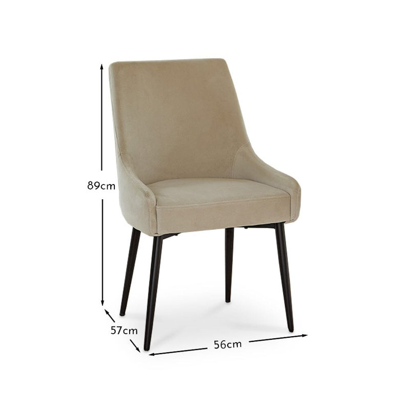 Dining Chairs - Set of 2, Black, Clay