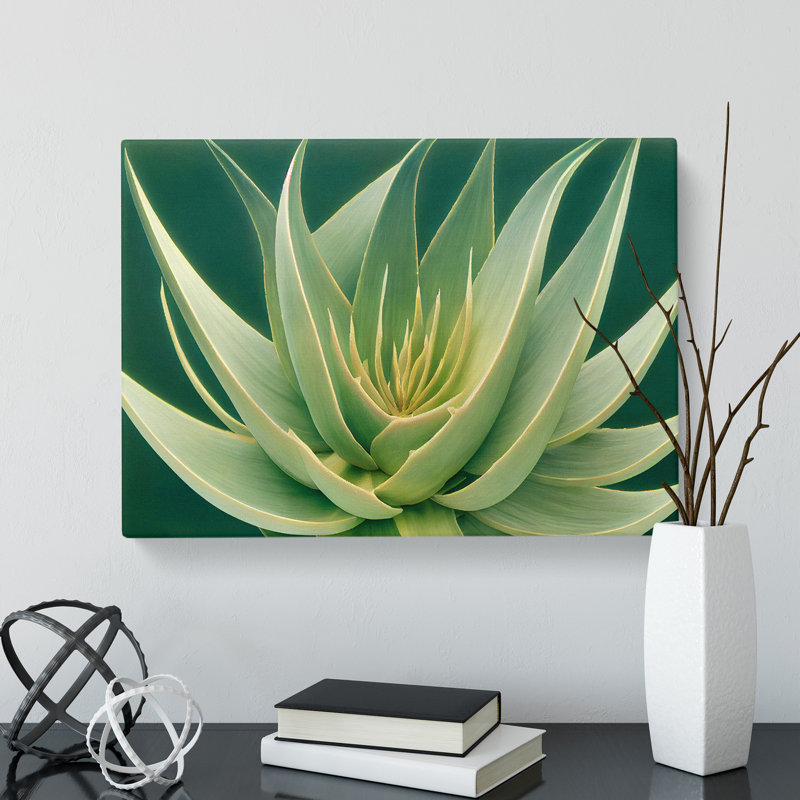 Beguiling Aloe Vera Plant - Wrapped Canvas, 35cm H x 50cm W x 3cm D